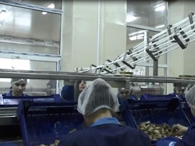 Гравитационная направляющая для пустой жестяной тары в Губахе